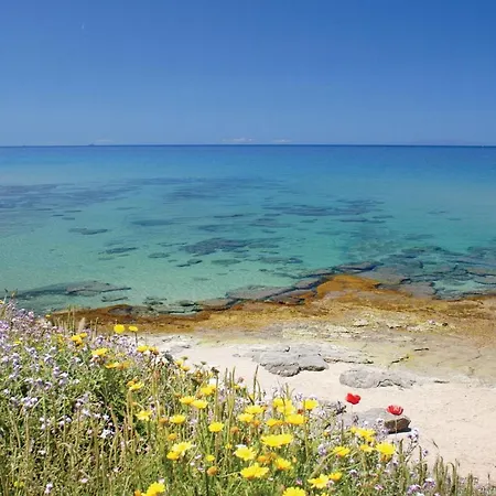 Bilo Beach * Monte Nai